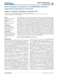 Publication cover - click to view
