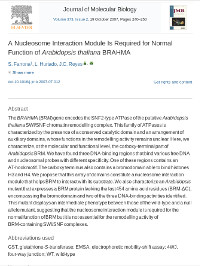 Publication cover - click to view