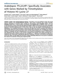 Publication cover - click to view