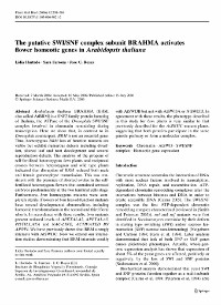 Publication cover - click to view