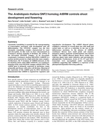 Publication cover - click to view