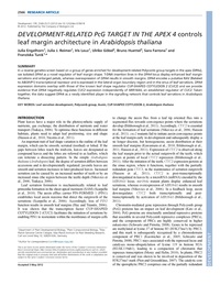 Publication cover - click to view