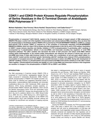 Publication cover - click to view