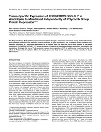 Publication cover - click to view