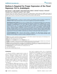 Publication cover - click to view