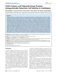 Publication cover - click to view