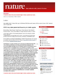 Publication cover - click to view